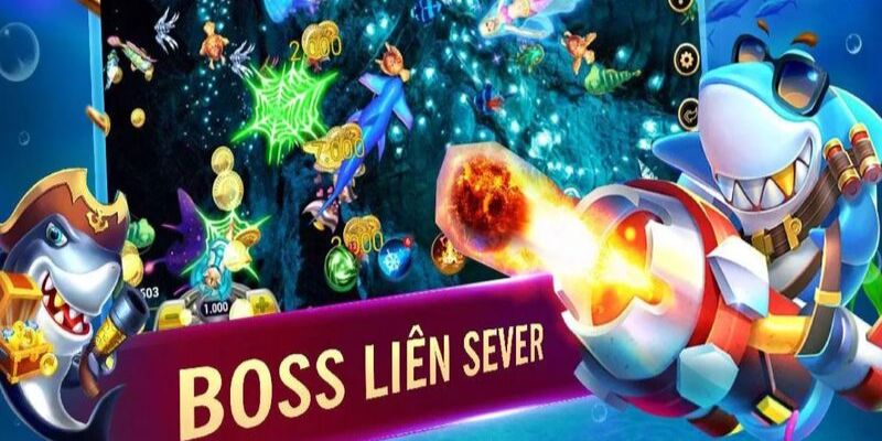 Các ưu đãi đặc biệt đối với boss